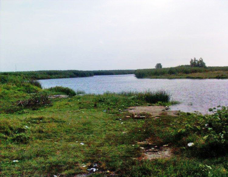 Казначейський лиман
